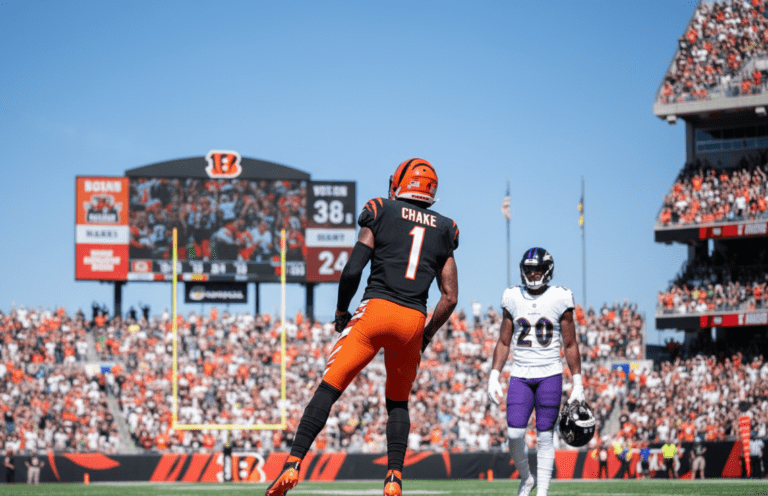 bengals vs baltimore ravens match player stats