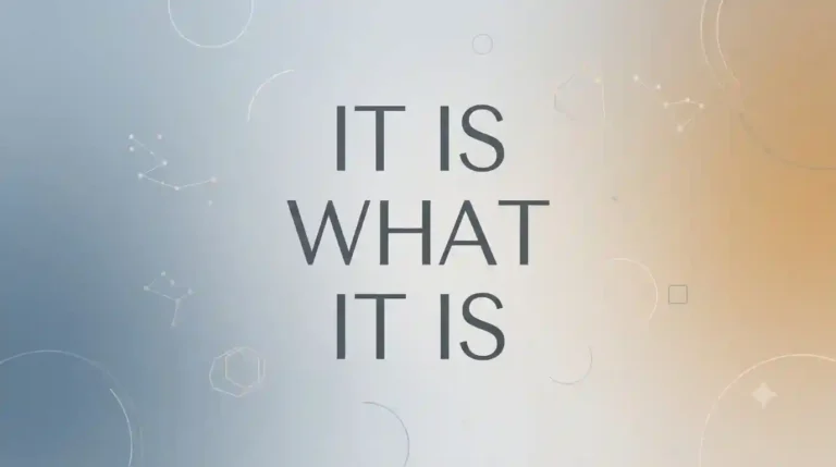 it is what it is meaning