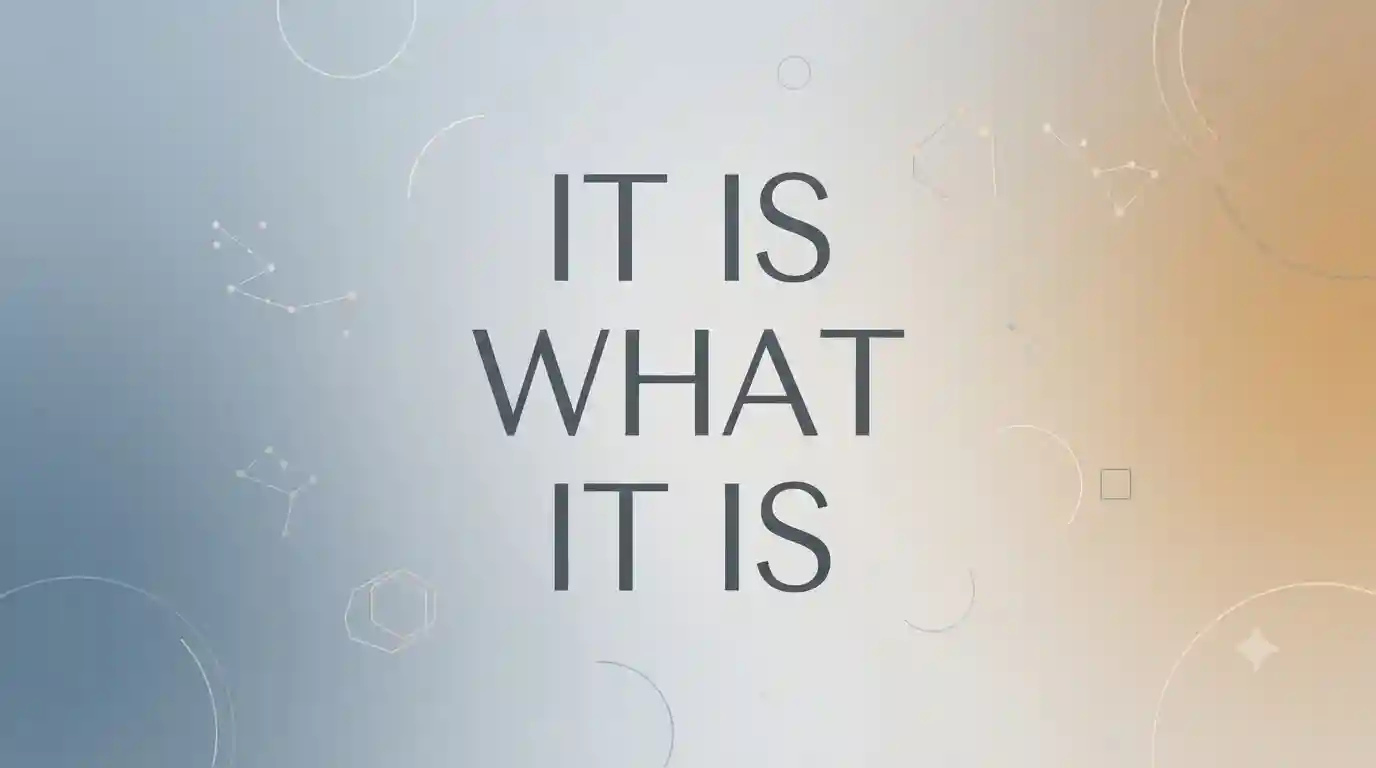 it is what it is meaning